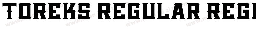 Toreks Regular Regul字体转换